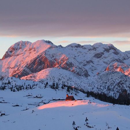 Velika Planina - Chalet Stane - Alps Stahovica Exteriör bild