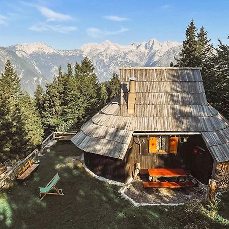Velika Planina - Chalet Stane - Alps Stahovica Exteriör bild