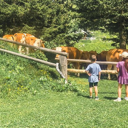 Velika Planina - Chalet Stane - Alps Stahovica Exteriör bild