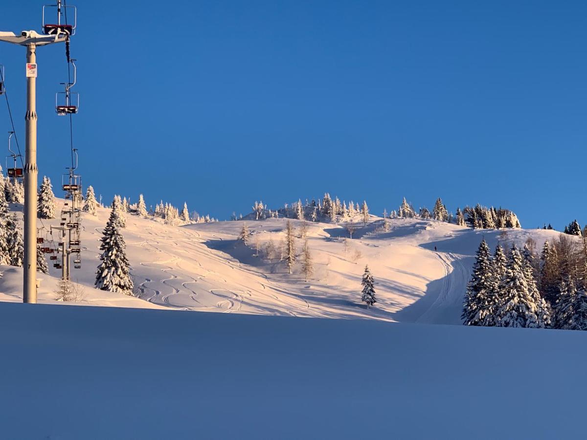Velika Planina - Chalet Stane - Alps Stahovica Exteriör bild