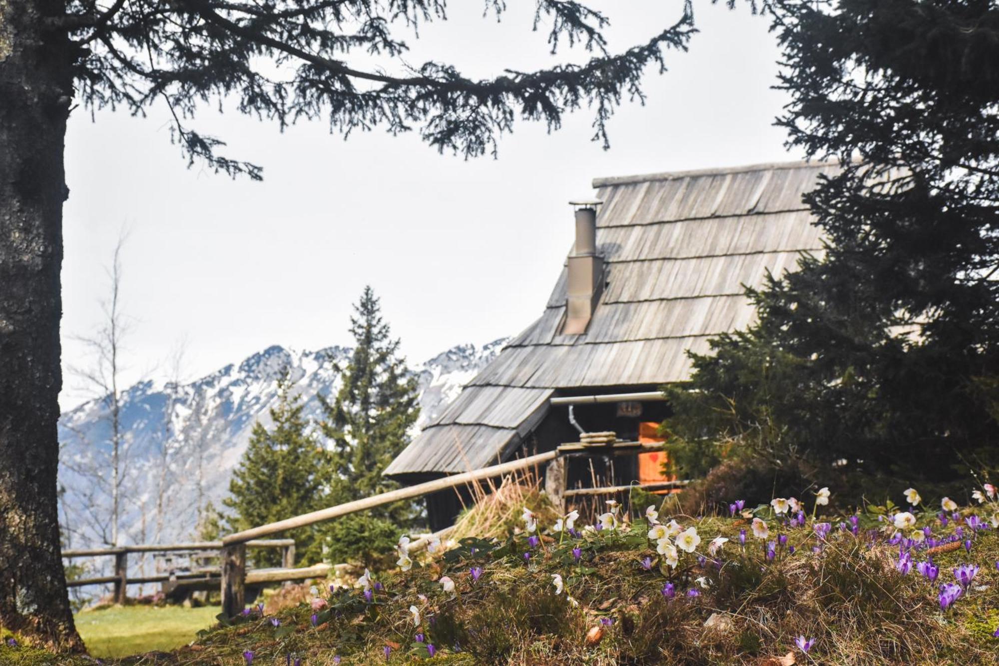 Velika Planina - Chalet Stane - Alps Stahovica Exteriör bild