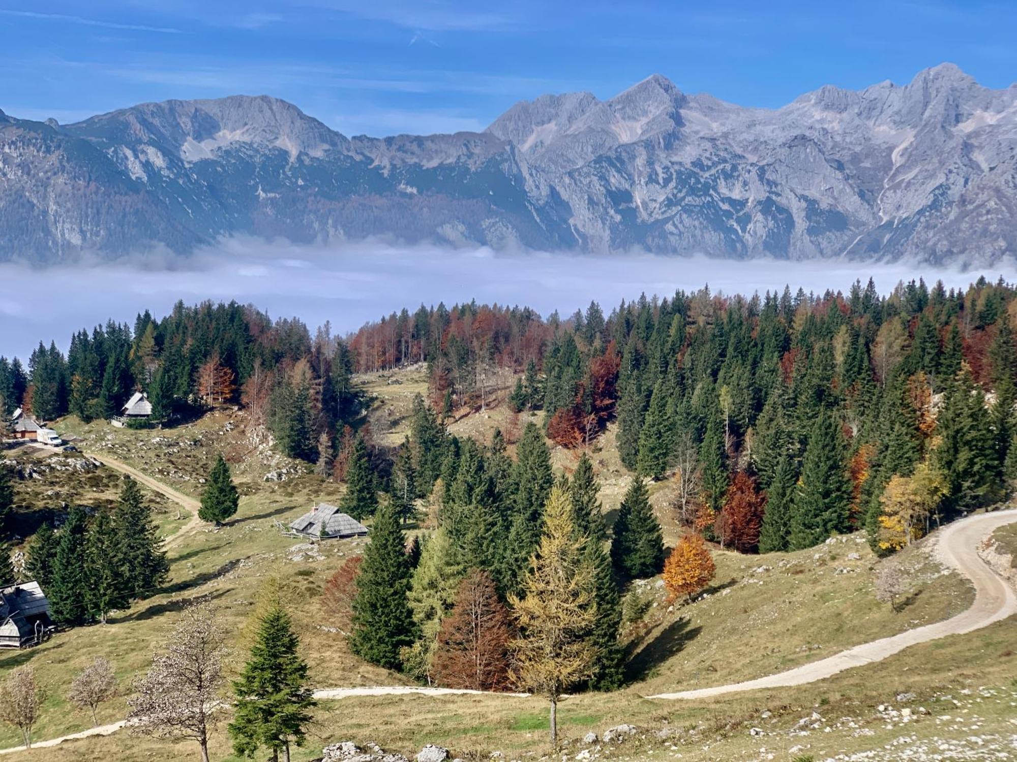 Velika Planina - Chalet Stane - Alps Stahovica Exteriör bild