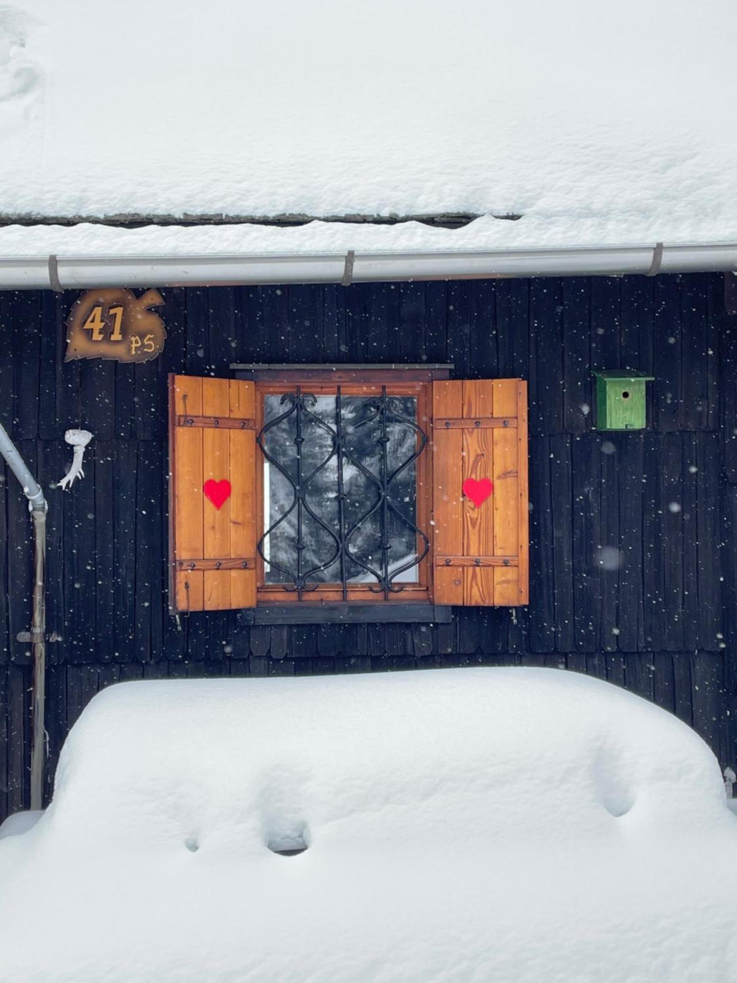 Velika Planina - Chalet Stane - Alps Stahovica Exteriör bild
