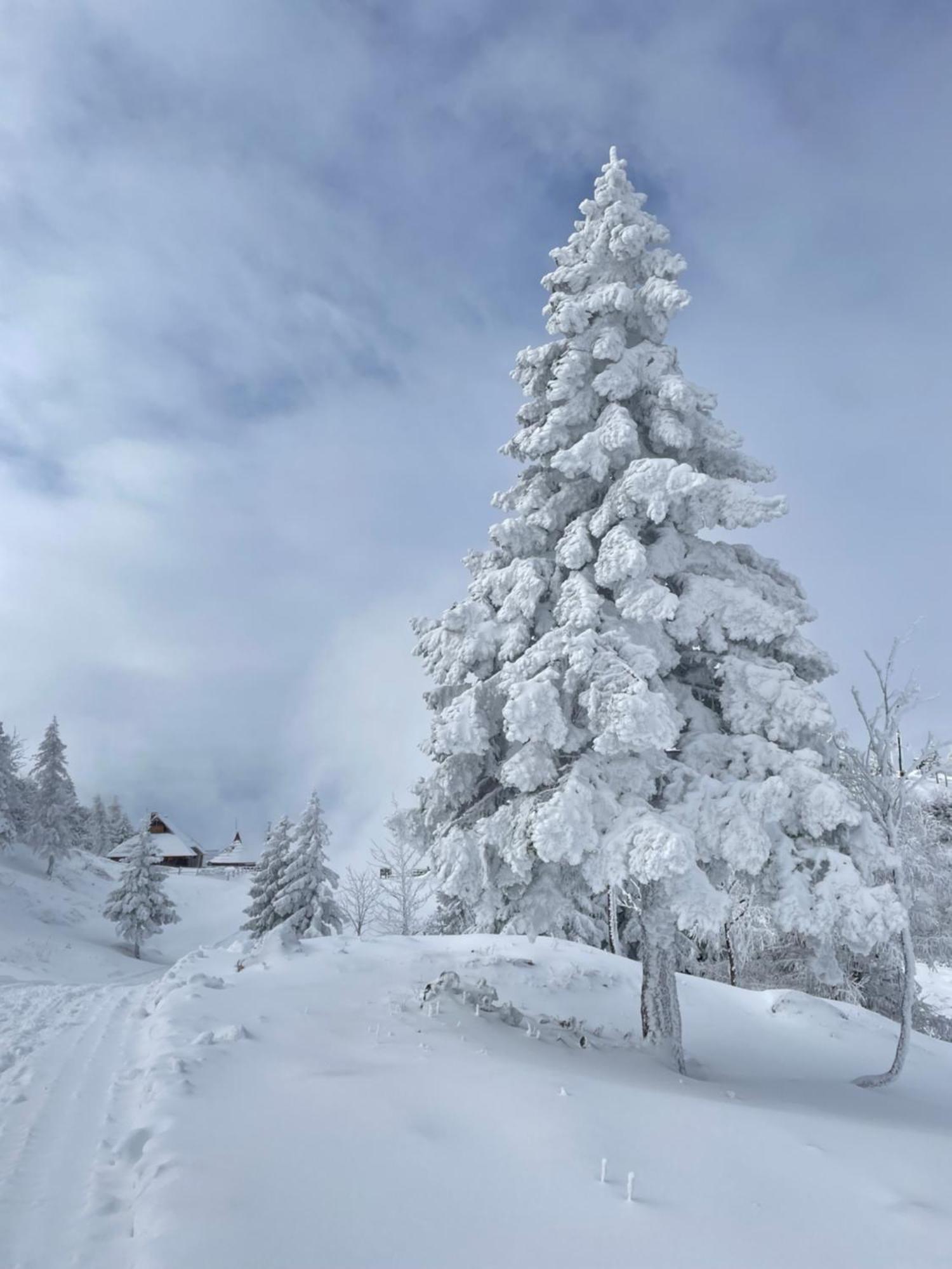 Velika Planina - Chalet Stane - Alps Stahovica Exteriör bild