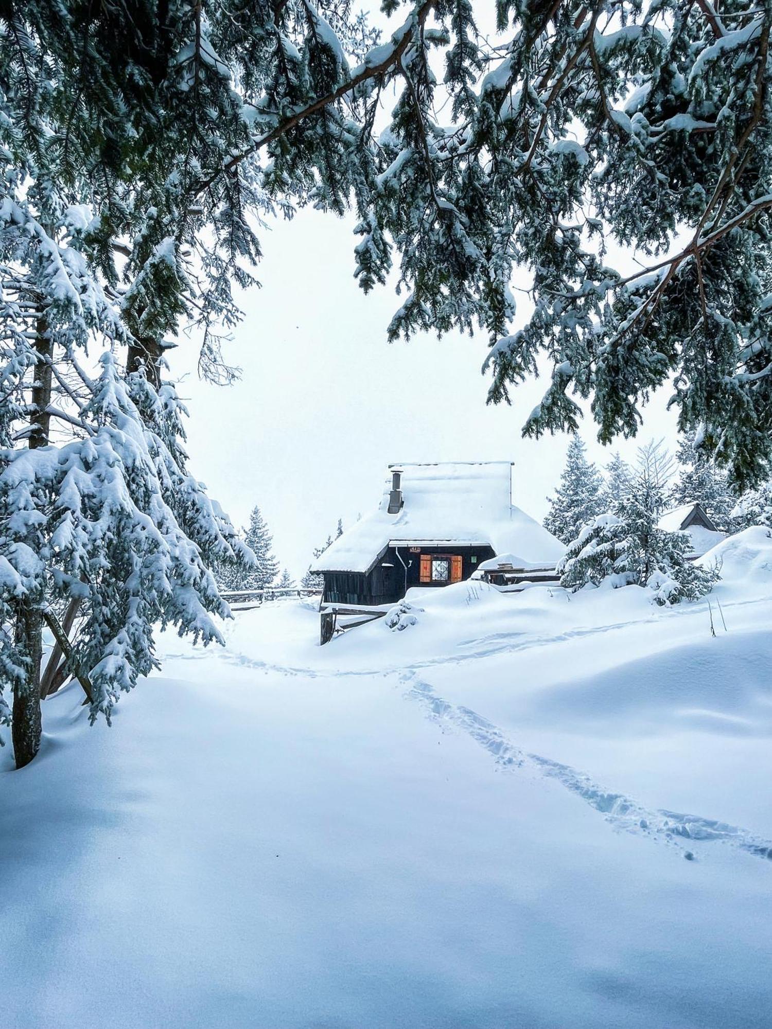 Velika Planina - Chalet Stane - Alps Stahovica Exteriör bild